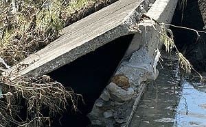 興化部堤防五年三潰堤    蘇清泉：不要政治口水、只要不再淹水
