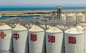 虛報產量又隱匿！中聯油脂遭列3大罪狀 食藥署重罰1億6520萬元