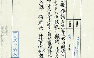 不是只1頁！調查局佈建檔案：「王定宇」出現17次、最高支薪8千元