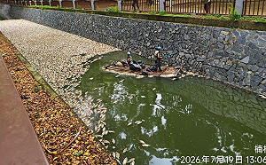 諷高雄智慧城市只會撈死魚　薛兆基籲建置AI河川預警系統   