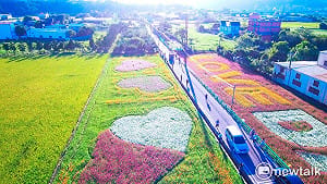 花彩大溪還有兩天 木藝老街花海攏底嘉