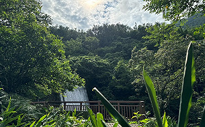 黃金山城新玩法！金瓜石2大遊程 一次體驗淘金、礦山故事
