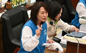 接國民黨發言人砲打菊系 陳麗娜：新潮流復辟非空穴來風