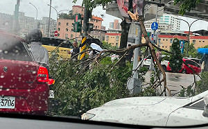 間歇性強風暴雨襲雙北 路樹倒塌、積水災情頻傳