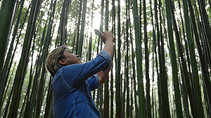 立院明馬拉松表決總預算！觀光署：經費若過 國旅補助8月登記、9月就可用