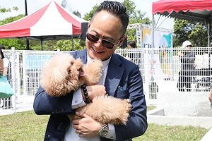 響應國際流浪動物日 童子瑋推四大寵物政見：打造毛小孩友善之城