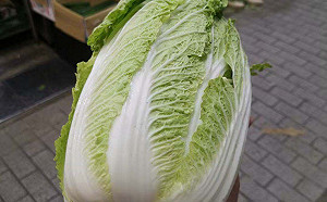 中國甲醛蔬菜掀「產地焦慮」！菜販揭夏季市場實況：看到進口先別慌