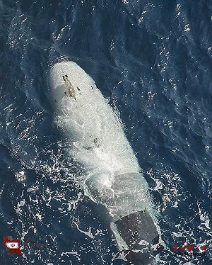 伊朗「捕獲」美軍無人水下載具揚言「逆向工程」 美稱舊型號、無機密裝備
