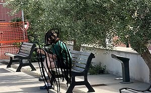 蕭美琴訪義遭情蒐？謝志偉曝可疑年輕女子現身管制區「老共派的」