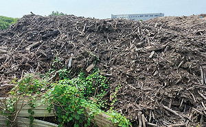 高市府稱「永安廢材山」烏龍爆料　柯志恩：事實俱在，何來烏龍？ 
