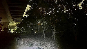台74大塞車男子突離車墜橋身亡！母親目睹驚悚過程失聲痛哭