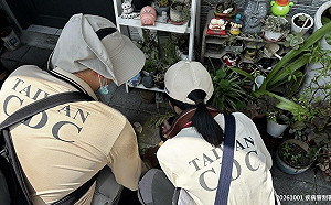 彰化登革熱再+1！兩病例住家僅距110公尺　疾管署研判社區群聚