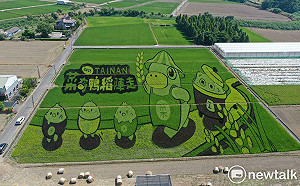 呆萌菜奇鴨躍上後壁稻田  台南好米季搶先暖身  10/9相約菁寮「稻陣走」