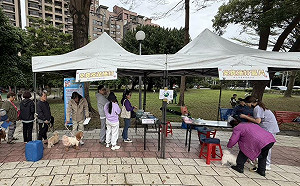兩汪走失兩地竟在動物之家團圓  新北動保處提醒走失5日內要申報