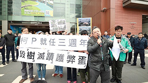 毀「樹」滅「蹟」護弊蛋? 護樹團體批:柯P三年施政0分