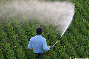醫師指吃過多農藥會致癌 食安辦：說法太超過
