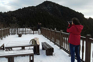 追雪去！1300遊客湧入太平山急凍1℃