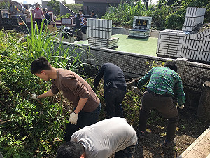 家戶返鄉祭切記「4不2記得」 行政院提醒3招避免蟲蟲危機
