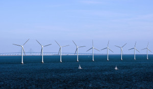 離岸風電競價結果低於預期 2開發商7年內開發1664MW