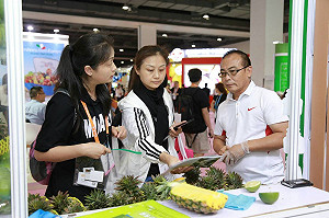 中國蔬果運銷展今登場 高雄金鑽鳳梨大受好評