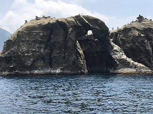 深澳象鼻岩超壯觀！6月起到瑞芳看海景 吃海鮮