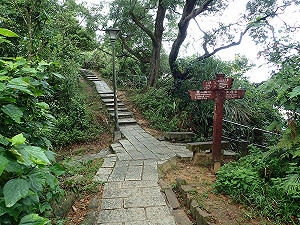 啟動夏日樂活模式！來南港山親山步道森呼吸一下