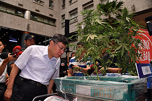 違規場所多年仍存在 柯P超不爽要求改善