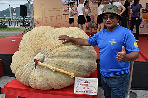925斤破紀錄大南瓜在這！來淡水逛農夫市集喝南瓜啤酒