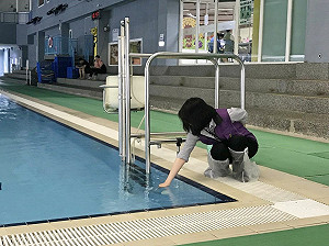 北市8家泳池大腸桿菌超標！複檢後4家仍改善中