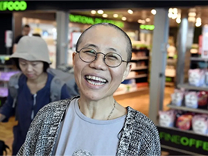 劉霞獲釋遷居德國 德外交高層：背後沒有任何政治交易