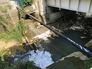 沙拉脫工廠偷排廢水 高市勒令停工將開罰