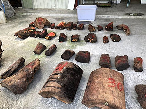 山老鼠兼販毒 橋檢聲押3人獲准