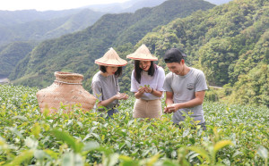 夏日輕旅行！貢寮、坪林、平溪3路線25種旅程任你挑