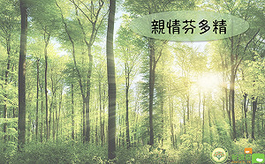 親情芬多精》家長任孩子去發揮 也許會有意想不到的收穫