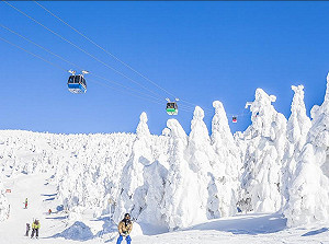 冬天就是要滑雪！初學者必備9大滑雪禮儀