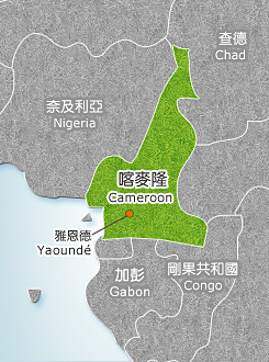 仍有3人下落不明！喀麥隆79遭綁架學生獲釋