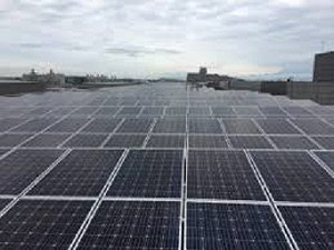 中國報價全面持平 太陽能需求放緩