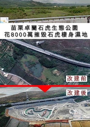 苗縣竟花8千萬蓋生態公園？石虎棲息地遭破壞