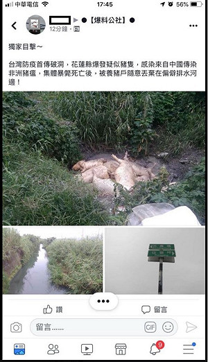 豬隻屍體遭棄置橋下 防檢局：臨床判斷沒有非洲豬瘟症狀