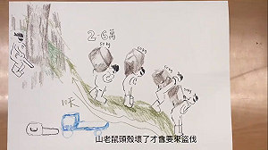 公開檜木群位置引山老鼠？林務局手繪影片訴初衷