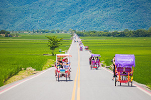 配合防疫！池上鄉公所：伯朗大道、天堂路等景點不解封