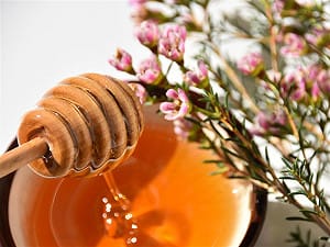 蜂蜜哪裡來？讓高科技養蜂曆告訴你