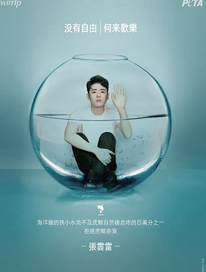 中國相聲演員被困魚缸 張雲雷: 沒有自由何來歡樂？