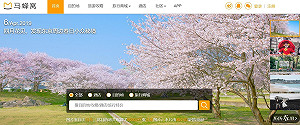 「未交國」旅遊？不准！ 傳中國要求業者下架資訊