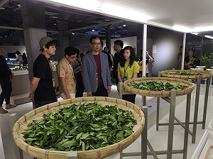 改變佛系選戰策略因應藍全民調初選？ 朱立倫：我很佛嗎？