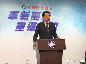 藍花蓮立委初選延後 中常委提案開放全民調
