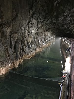 北海坑道養殖小龍蝦 馬祖產業新亮點