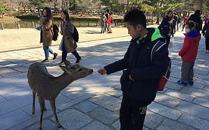 中國打擊日本旅遊將滿月 產經：真正承擔損失的是中國人