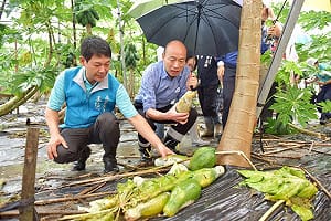 「蔡英文只守不攻，不會贏！」 胡幼偉：她沒有其他招數可用了