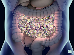 優酪乳的菌 真的可以喝進腸道嗎？